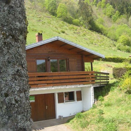 Chalet Les Jonquilles La Bresse Ngoại thất bức ảnh