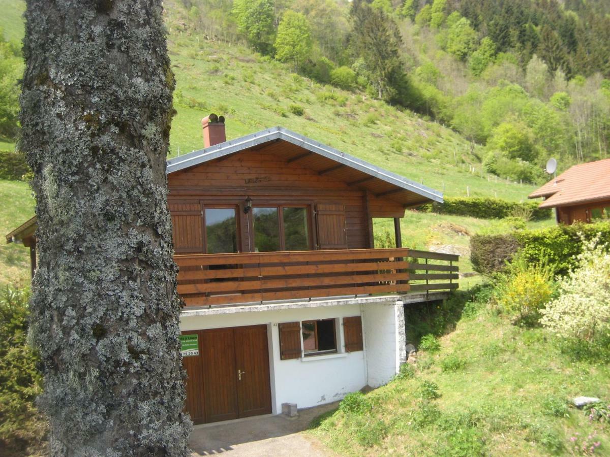 Chalet Les Jonquilles La Bresse Ngoại thất bức ảnh